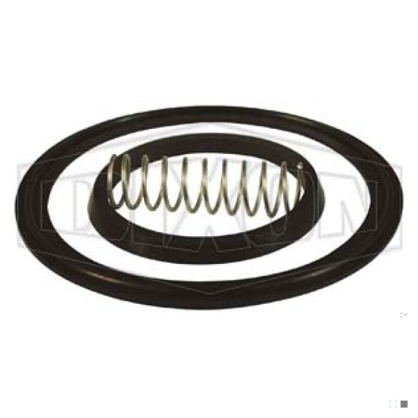 Spring Check Valve Repair Kit